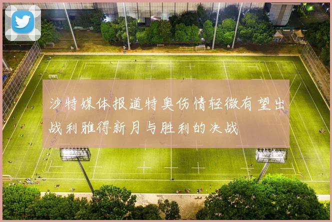 沙特媒体报道特奥伤情轻微有望出战利雅得新月与胜利的决战