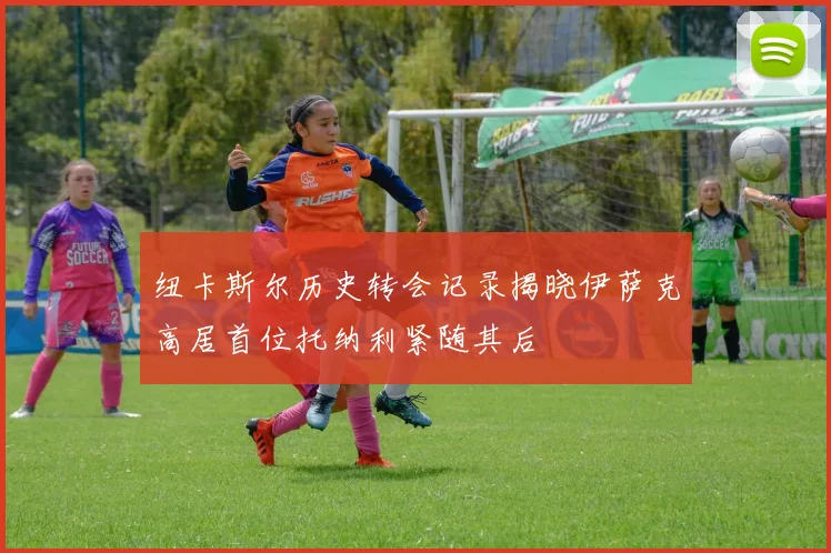 纽卡斯尔历史转会记录揭晓伊萨克高居首位托纳利紧随其后