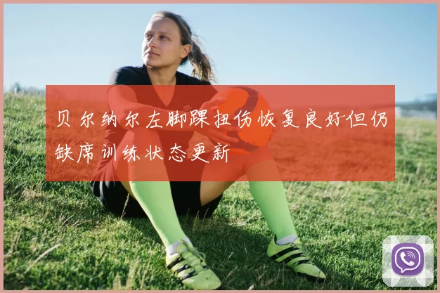 贝尔纳尔左脚踝扭伤恢复良好但仍缺席训练状态更新