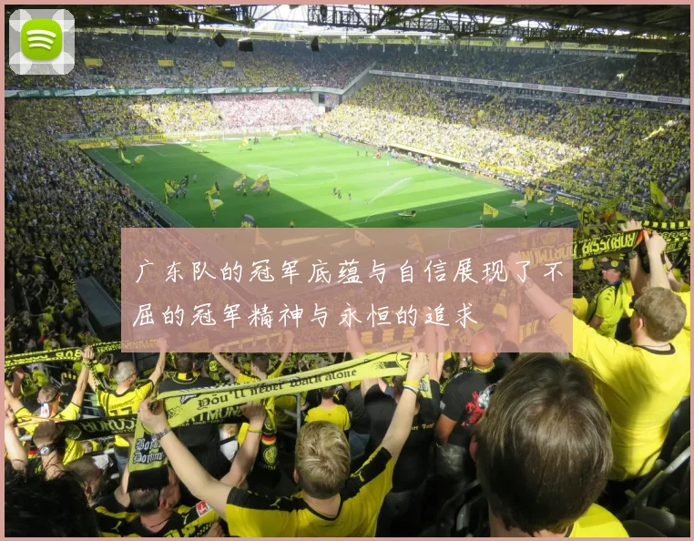 广东队的冠军底蕴与自信展现了不屈的冠军精神与永恒的追求